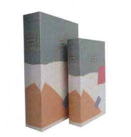 CONJ. DE CAIXAS LIVRO EM MADEIRA SPARE YOUR LIFE CINZA, BRAN