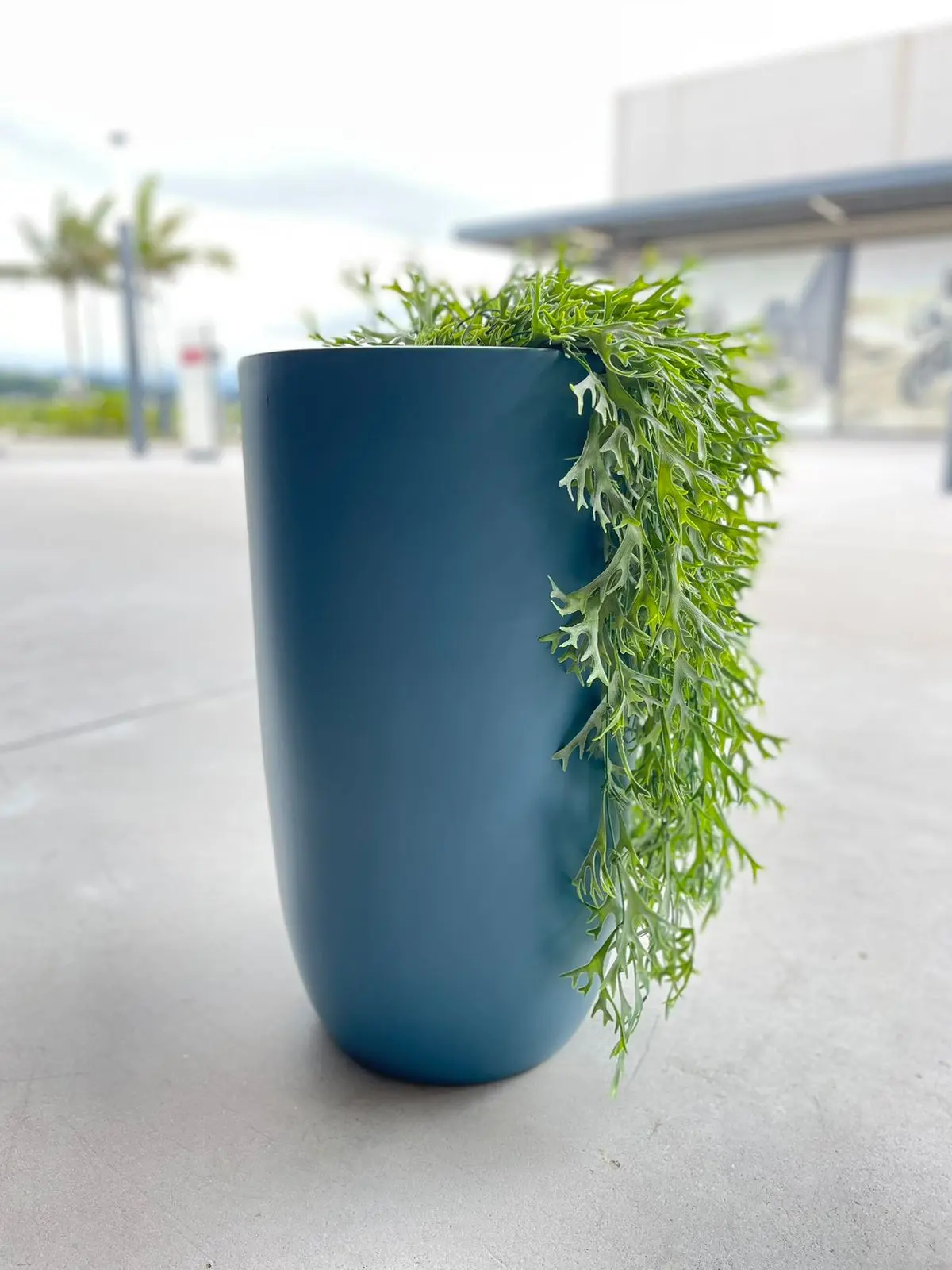 Vaso Ásia 1 Gigante Azul