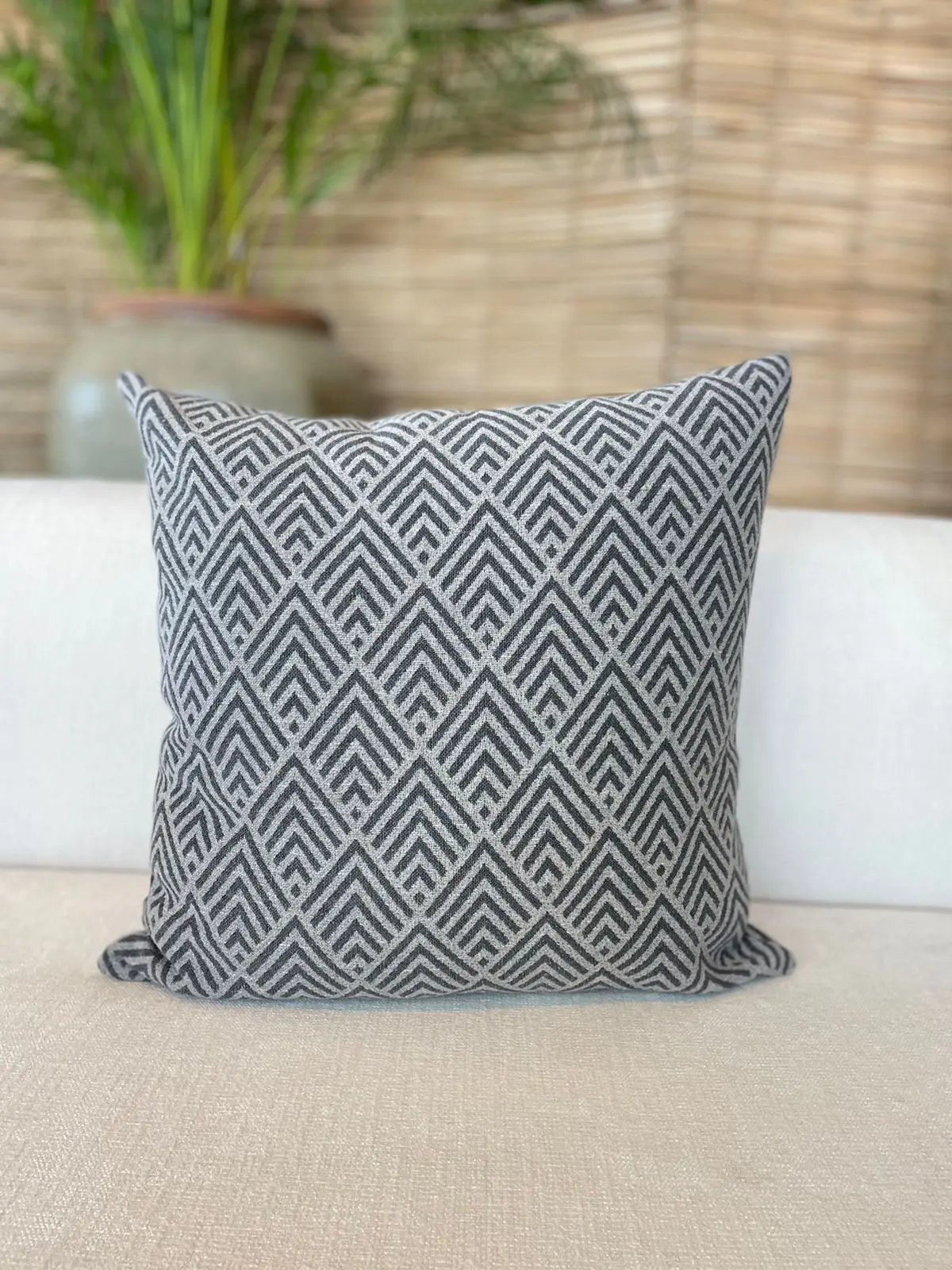 Almofada Linha Pisa 50x50